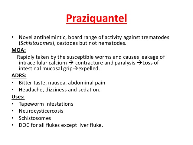 Praziquantel Uses