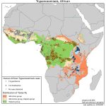 African trypanosomiasis