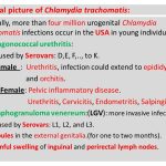 Clinical picture of chlamydia trachomatis