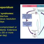 Cryptosporidium Clinical Syndromes