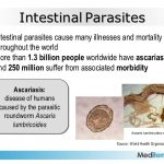 Intestinal parasite infections