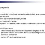 Mucormycosis susceptibility