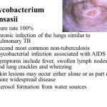Mycobacterium kansasii