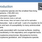 Mycoplasma pneumonia