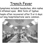Trench fever