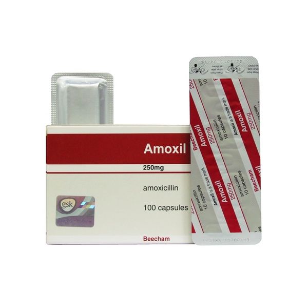 Amoxicillin (Amoxil) 500mg