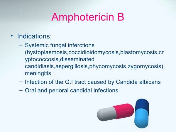 Amphotericin B: Cautions Amphotericin B: Cautions