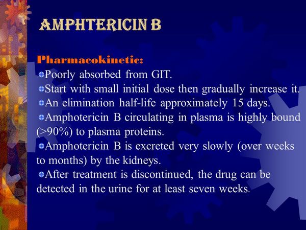 Amphotericin B (Fungilin, Fungizone, Abelcet, Fungisome, Amphocil) Amphotericin B (Fungilin, Fungizone, Abelcet, Fungisome, Amphocil)
