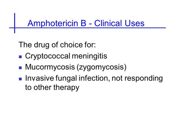 Amphotericin B: Uses