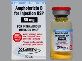 Amphotericin B Amphotericin B