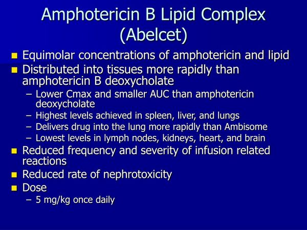 antifungal agents mechanism of action of amphotericin b