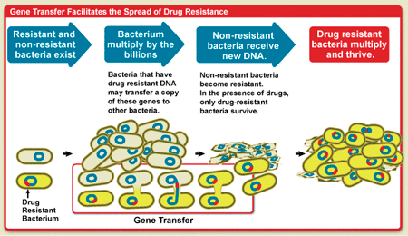 Antibiotic Drugs and Antibiotic Resistance Antibiotic Drugs and Antibiotic Resistance