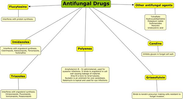 Antifungal Drugs