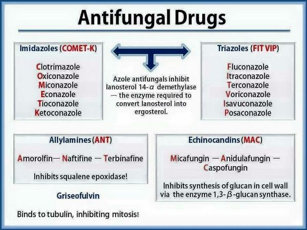 Antifungal Drugs