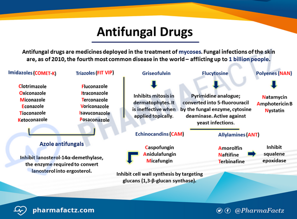 Antifungal Drugs