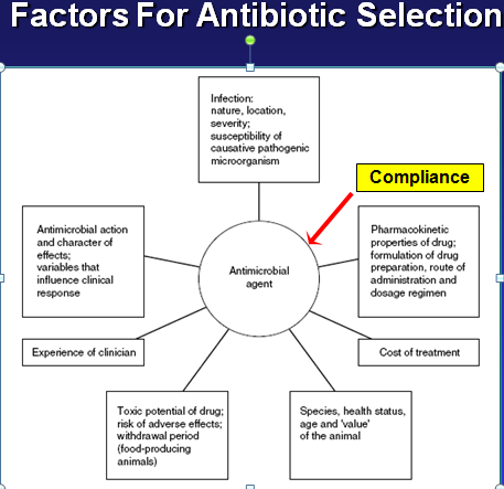 Antimicrobial Regimen Selection