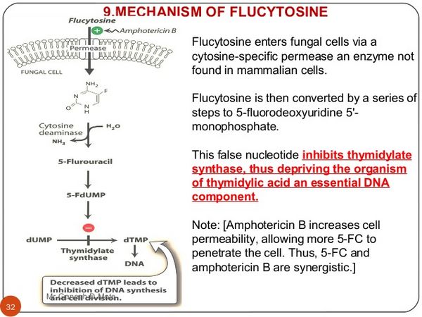 Flucytosine