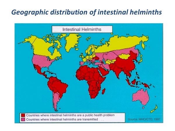 Intestinal Helminths