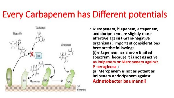 Merrem: Carbapenem for Severe Infection