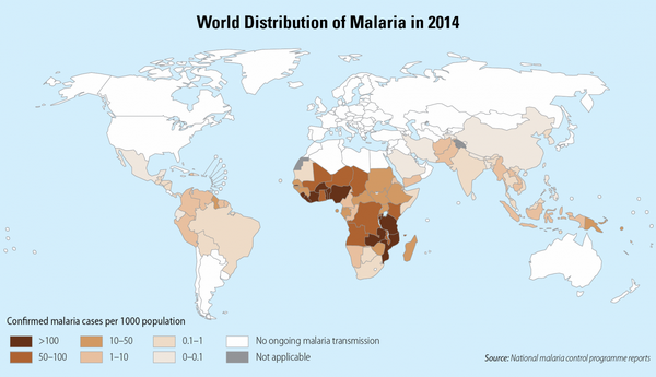 Malaria Malaria