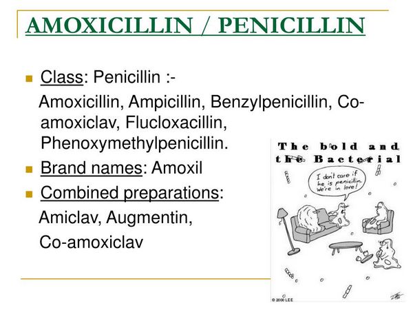 Penicillins Immunologic