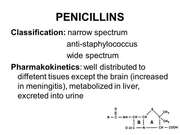 Penicillins Liver Penicillins Liver