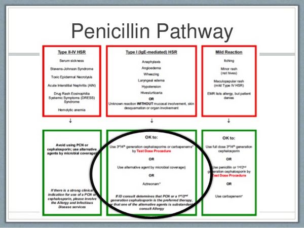 Penicillins: Organs and Systems