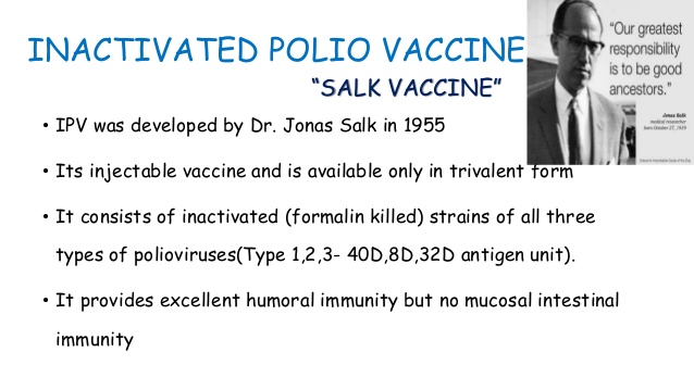 Poliovirus vaccines 