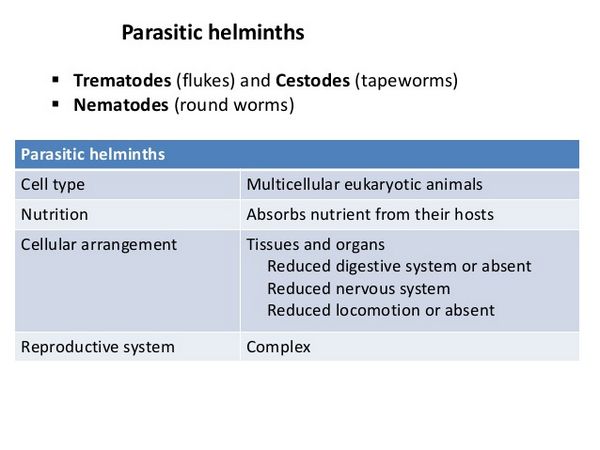 Tissue And Blood Helminths