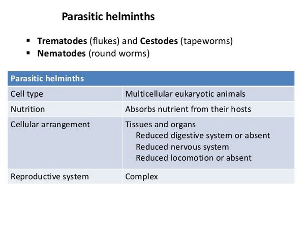 Tissue And Blood Helminths Tissue And Blood Helminths