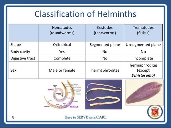 Tissue And Blood Helminths