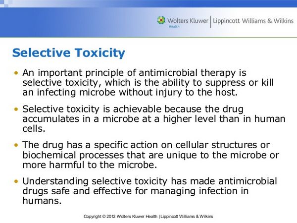 Toxicity of Antimicrobial Therapy Toxicity of Antimicrobial Therapy