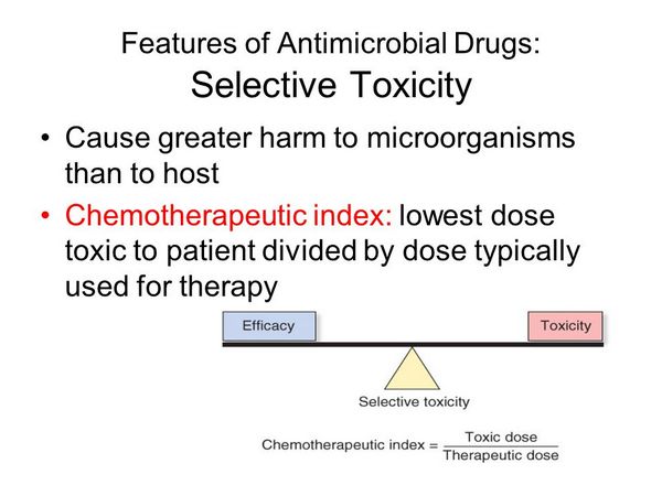 Toxicity of Antimicrobial Therapy