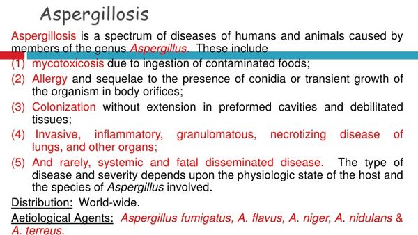 Aspergillosis