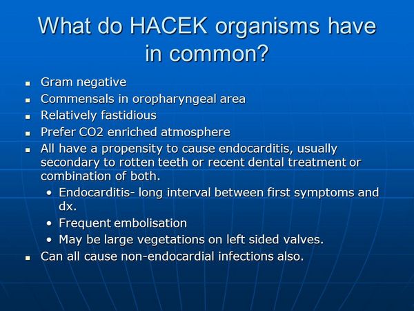 HACEK INFECTION