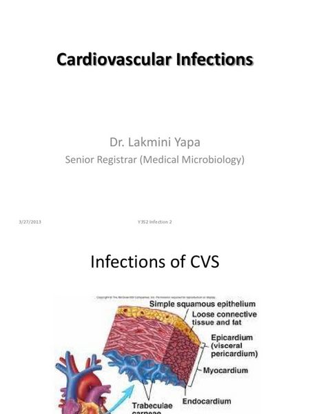 Cardiovascular Infections