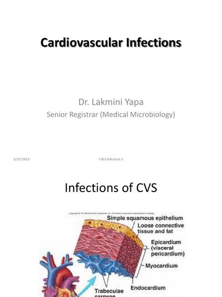 Cardiovascular Infections Cardiovascular Infections