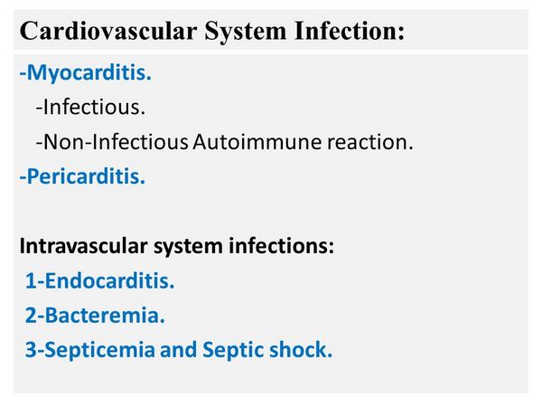 Cardiovascular Infections Cardiovascular Infections