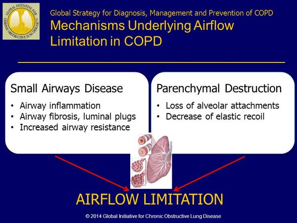 Chronic Underlying Airway Disease