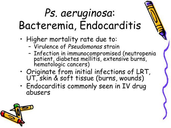 P aeruginosa endocarditis