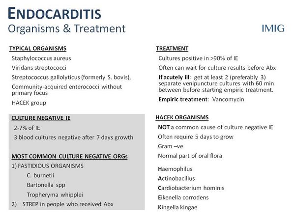 Endocarditis infective