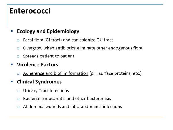 Enterococci: Clinical Syndromes