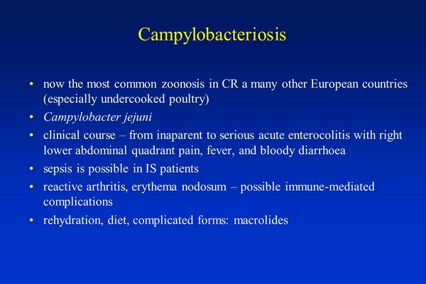 Extraintestinal Campylobacteriosis
