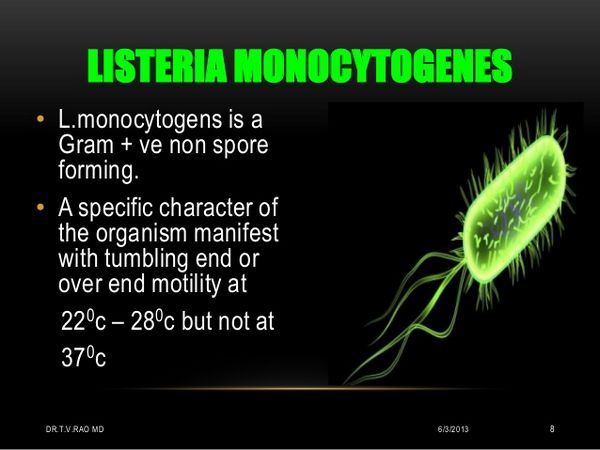 LISTERIA MONOCYTOGENES
