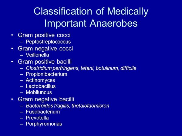 Important Anaerobes Important Anaerobes