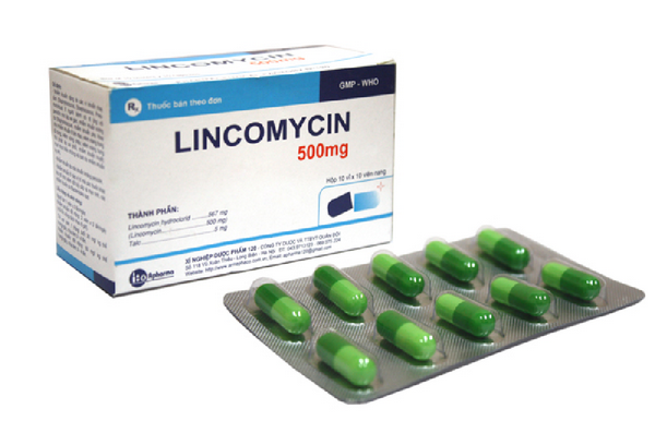Lincomycin
