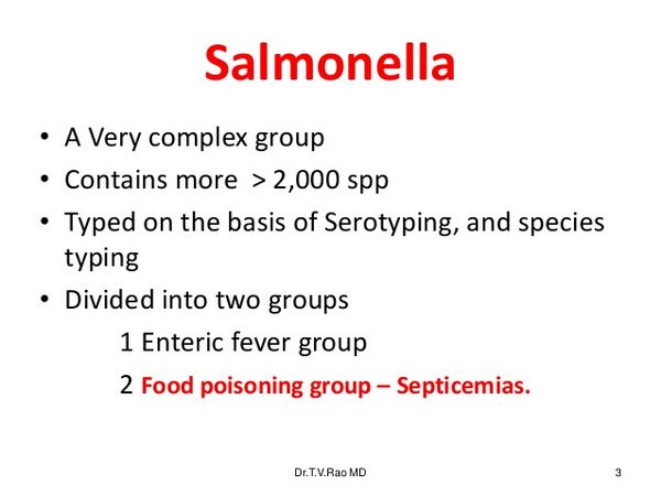 Salmonella Species