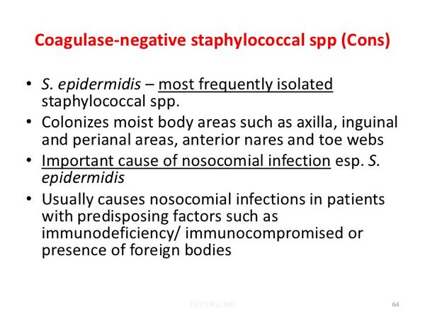 COAGULASE-NEGATIVE STAPHYLOCOCCI