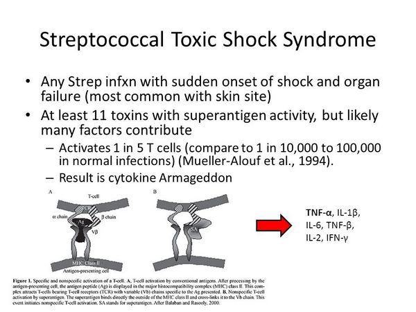 Streptococcal Toxic Shock Syndrome