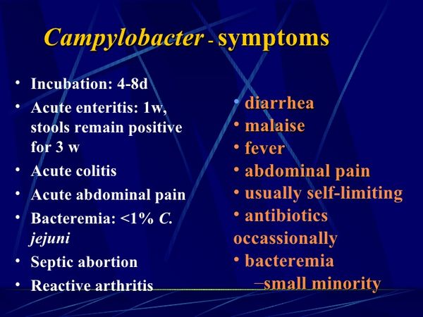 CAMPYLOBACTER ENTERITIS